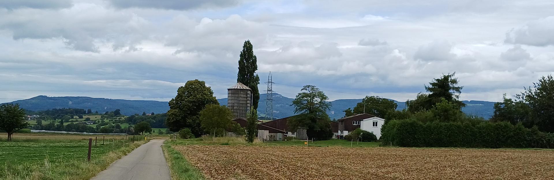 Witterswil